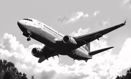 an airplane in the air, just taking off