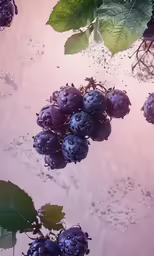 berries on the ground after the rain and falling down