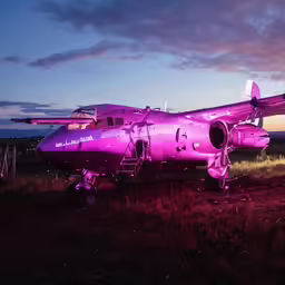 an airplane that is pink in color on a field