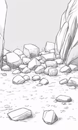 rocks in a landscape with a gray sky