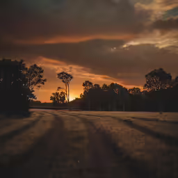 the sun is rising in the background behind trees