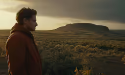 a person standing on a hillside staring into the distance
