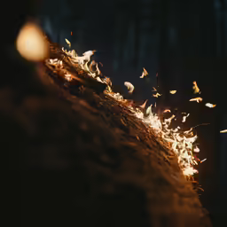 a lot of tiny birds flying around a dark forest