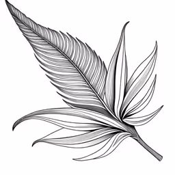 an ink drawing of leaves from the side,the underside side of a leaf showing the tip