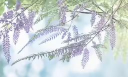 a tree branch with flowers growing in it