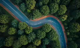 a curved road with no traffic is in a wooded area