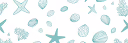 shells and starfish drawn in blue on white paper