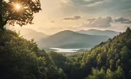 a scenic view of some mountains with water and forest