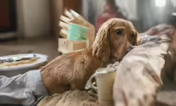 the puppy is drinking out of a cup