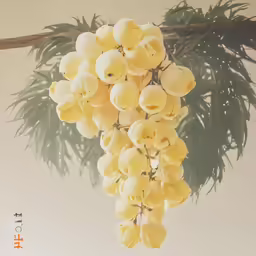 a yellow flower sits on the side of a branch