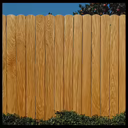 an orange colored bird is perched on a plant near a fence