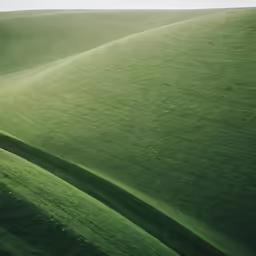 an area with very tall grass covered hills