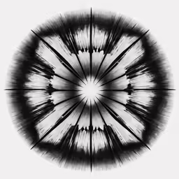 a black and white image of a circular object