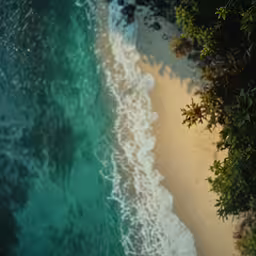 an aerial view of a sandy beach, beach and ocean