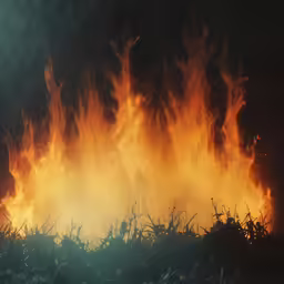 a bush fire burning over a field and vegetation