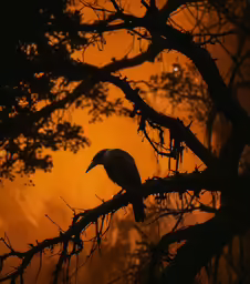 a bird sitting on top of a tree branch in a forest