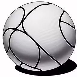 an image of a ball with black and white lines,a basketball ball is standing up on a white background,a ball that is white and black on a white background,a white ball with black accents on top,a basketball ball is shown in this black and white image