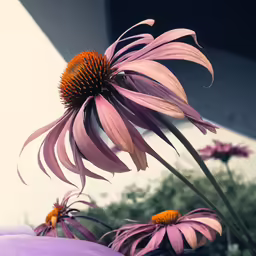 a large flower with an insect on top