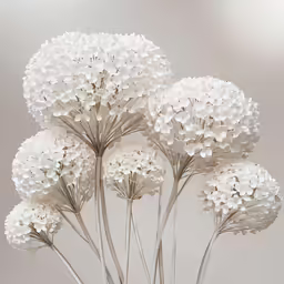 a flower arrangement in a vase filled with white flowers