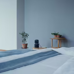 a plant is on a nightstand beside a bed