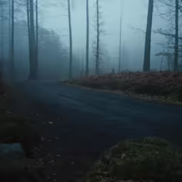 the road in a foggy forest with trees and rocks
