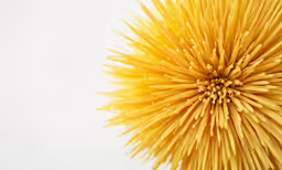 a big flower head on top of a white table