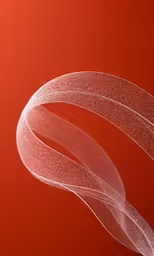 two abstract lines on a red background