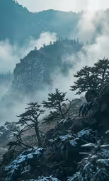 a foggy mountain with a tree line on top