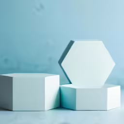 the two geometric shapes are next to each other