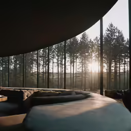 some sort of seating area by some tall trees