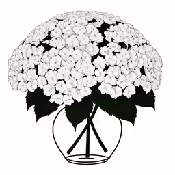 black and white hydrangea flowers in a vase
