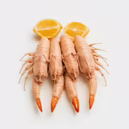 four shrimps laid out on top of each other and a lemon slice