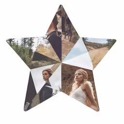 four images of brides and a horse in the shape of a star