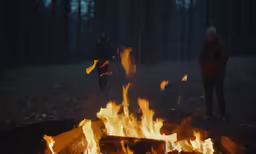 fire blazing in a forest with people walking near