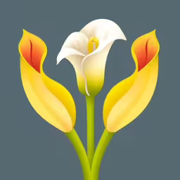 two yellow and white flowers with leaves on a dark background
