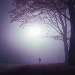 a person is standing under a tree as the sun shines bright