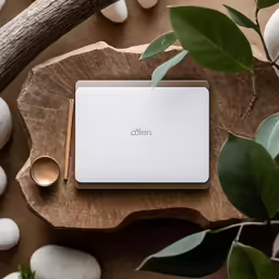 a white object on a table with plants, rocks and spoons