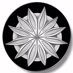 an ornate circular shape with black and white accents