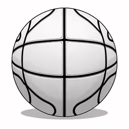 a white and black basketball ball with black stripes,a ball, in the center is on the floor,a basketball ball that is drawn in line,a white ball with black lines and white background,a ball is shown in white with black lines