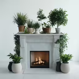 the fireplace is surrounded by potted plants on top