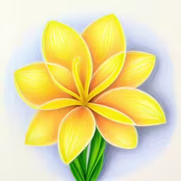this drawing shows the back end of a yellow flower,a drawing of yellow flowers that look like they are painted in pencil