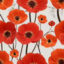 a background of red flowers with orange centers