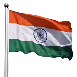an indian flag flying in the wind