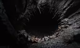 a dark tunnel filled with water and spiky plants