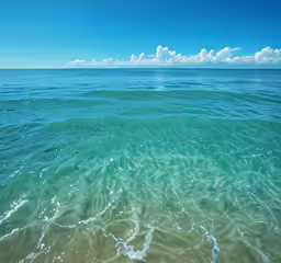 the view from above of the water looking at waves