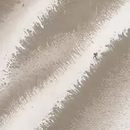 a surfer rides a wave in the surf on an ocean