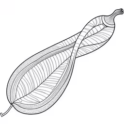 the inside of an empty leaf