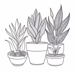 a drawing of potted plants,three plants that are in pots with one plant sitting on the other