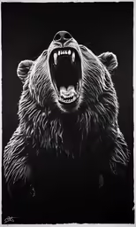 a black and white photo of a large bear