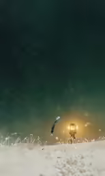 a street light in the middle of a snowy field